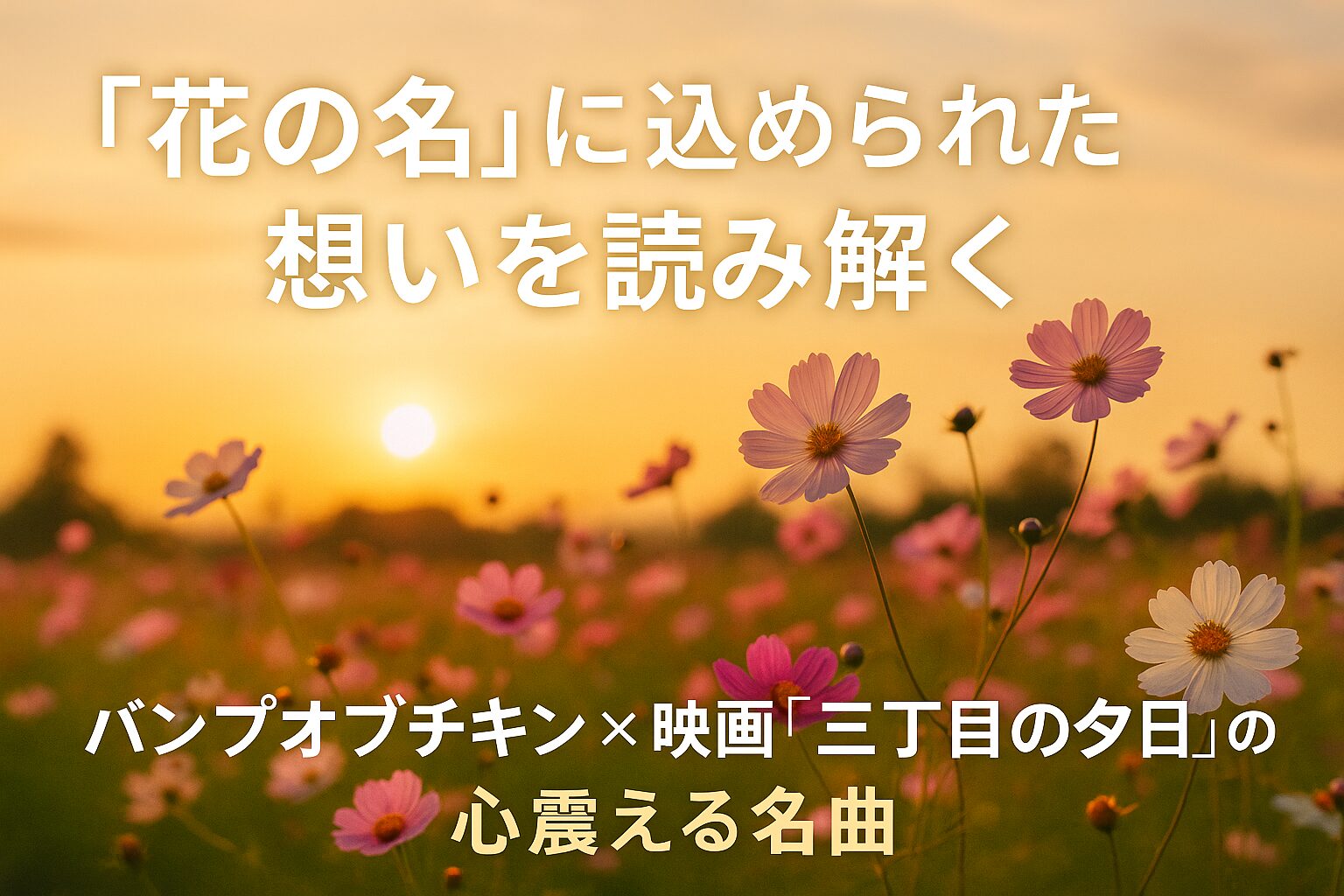 夕暮れの空の下、コスモスの花が揺れる花畑と「花の名に込められた想いを読み解く」というテキストが重ねられたイメージ画像